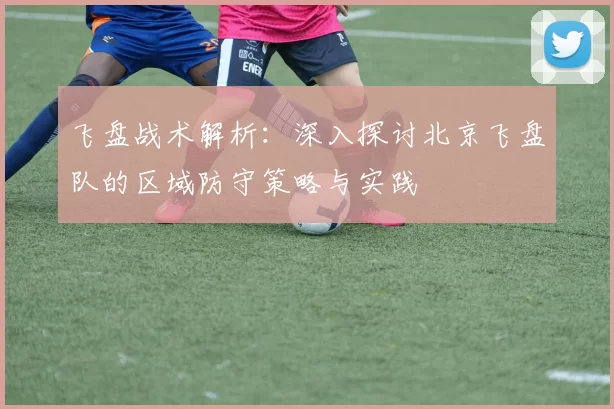 飞盘战术解析：深入探讨北京飞盘队的区域防守策略与实践