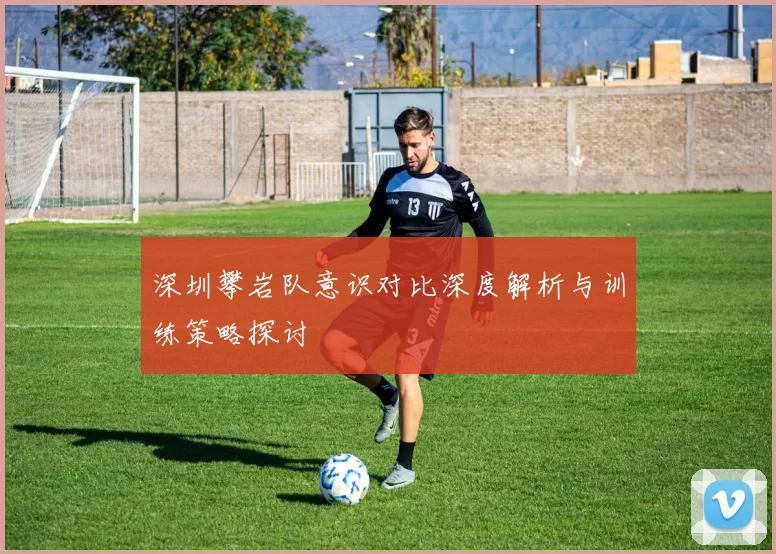 深圳攀岩队意识对比深度解析与训练策略探讨