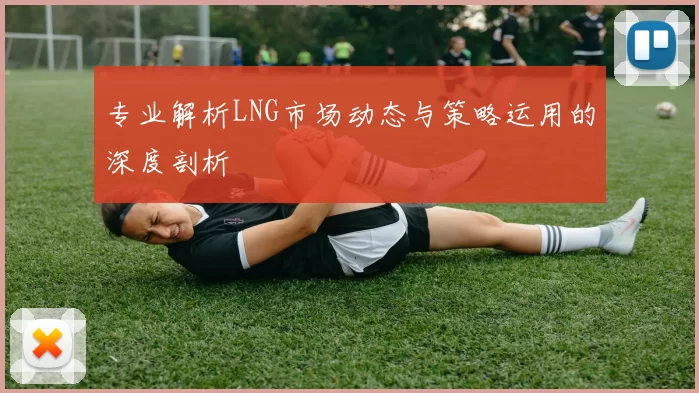 专业解析LNG市场动态与策略运用的深度剖析