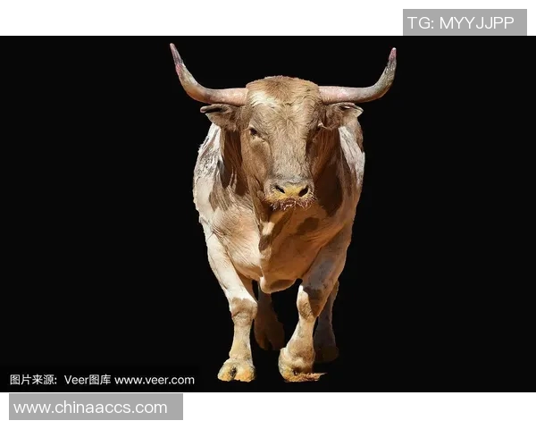 公牛精神:勇敢坚韧的象征与其在各领域的深远影响 公牛精神:勇敢坚韧的象征与其在各领域的深远影响