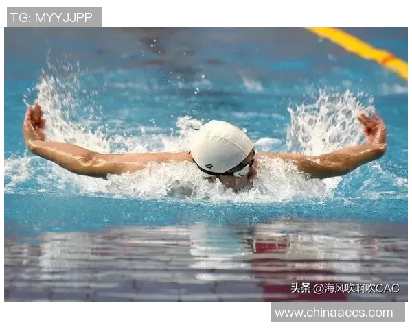 蝶泳技术提升与专项训练方法全面解析助力游泳水平突破