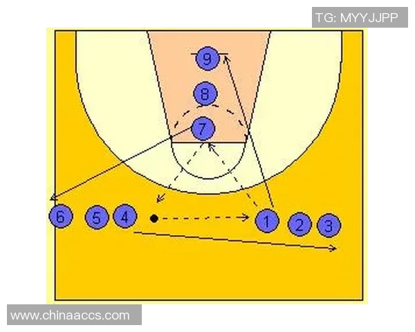 广州篮球队的技术揭秘与战术分析全面解析篮球巨献之旅