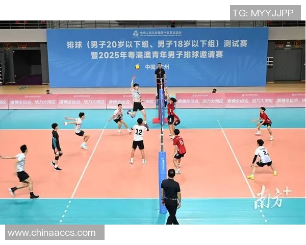 重庆排球队的耐力之道：排球巨献背后的坚持与拼搏