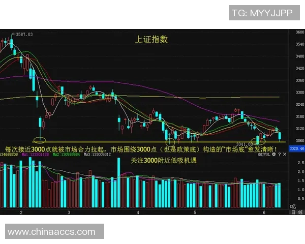 南京与武汉极限运动队赛后战术分析与复盘探讨