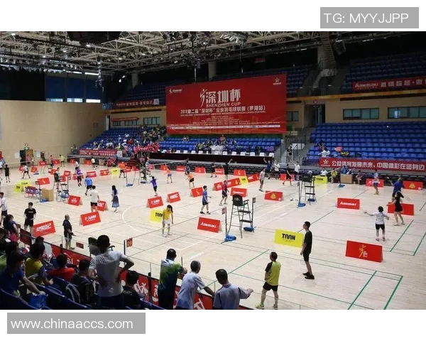 深圳羽毛球队在奥运会上的个人能力表现分析与点评